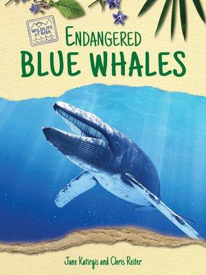 cover image of Endangered Blue Whales
